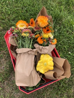 Herbs, edible calendula flowers and a patty pansquash_ first harvest from Bunchberry Small